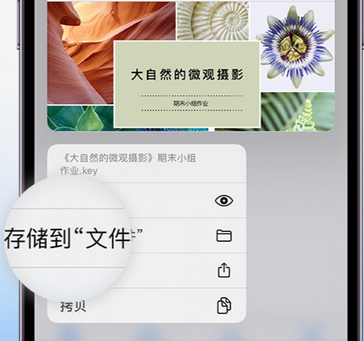 黑河apple维修中心分享iPhone文件应用中存储和找到下载文件