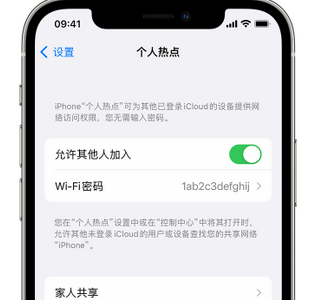 黑河apple服务站点分享iPhone上个人热点丢失了怎么办 