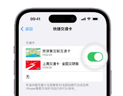 黑河apple维修点分享iPhone上更换Apple Pay快捷交通卡手绘卡面 