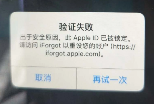 黑河iPhone维修分享iPhone上正常登录或使用AppleID怎么办 