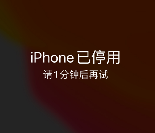 黑河苹果手机维修分享:iPhone 显示“不可用”或“已停用”怎么办？还能保留数据吗？ 