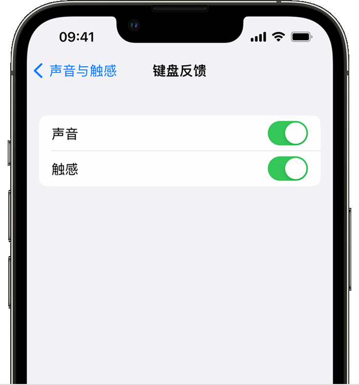 黑河苹果14维修店分享如何在 iPhone 14 机型中使用触感键盘 