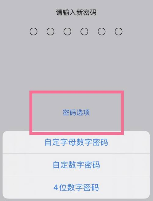 黑河苹果14维修分享iPhone 14plus设置密码的方法 