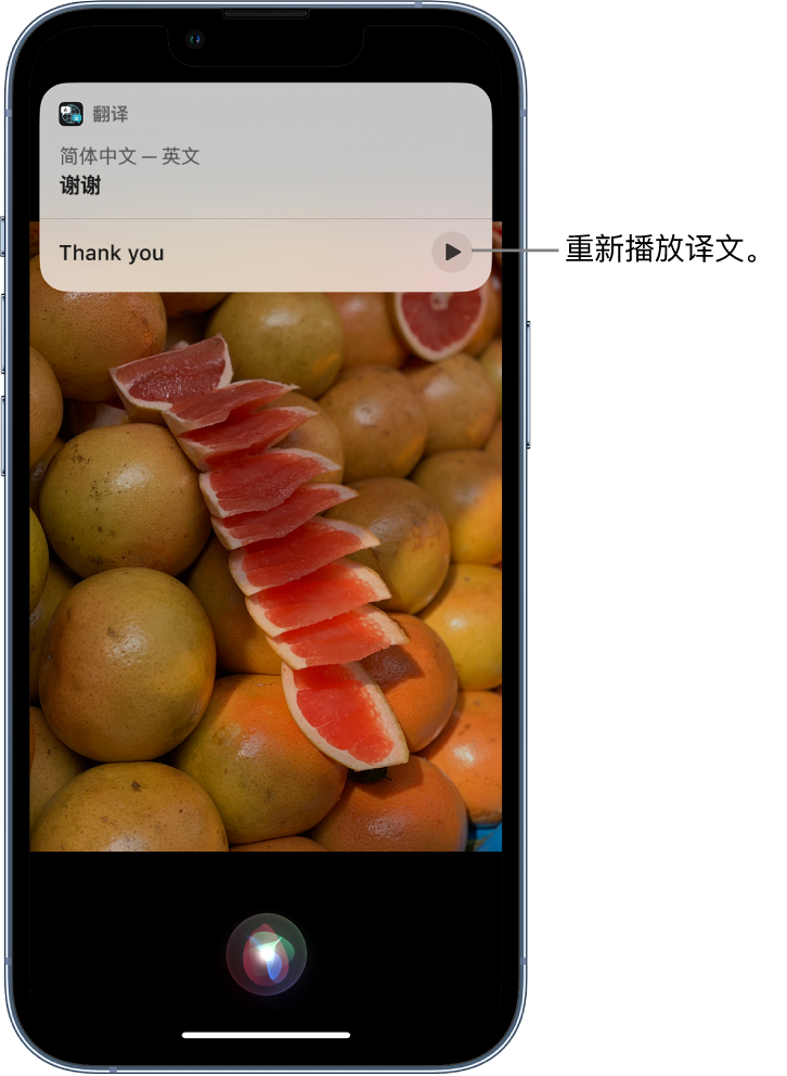 黑河苹果14维修分享 iPhone 14 机型中使用 Siri：了解 Siri 能帮你做什么 