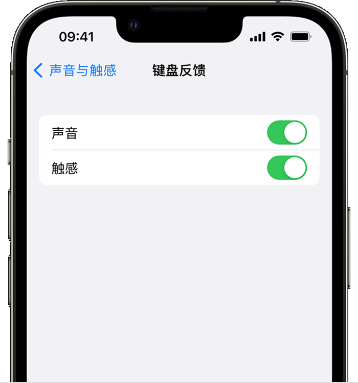 黑河苹果14维修分享iPhone 14 系列机型如何开启键盘声音或触感反馈 