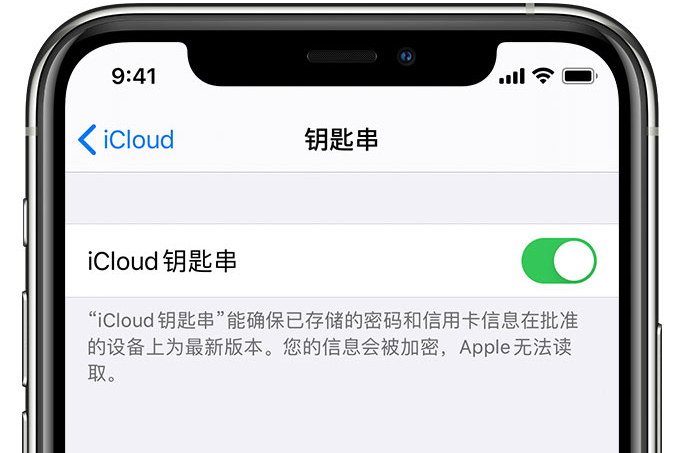 黑河苹果手机维修分享在 iPhone 上开启 iCloud 钥匙串之后会储存哪些信息 