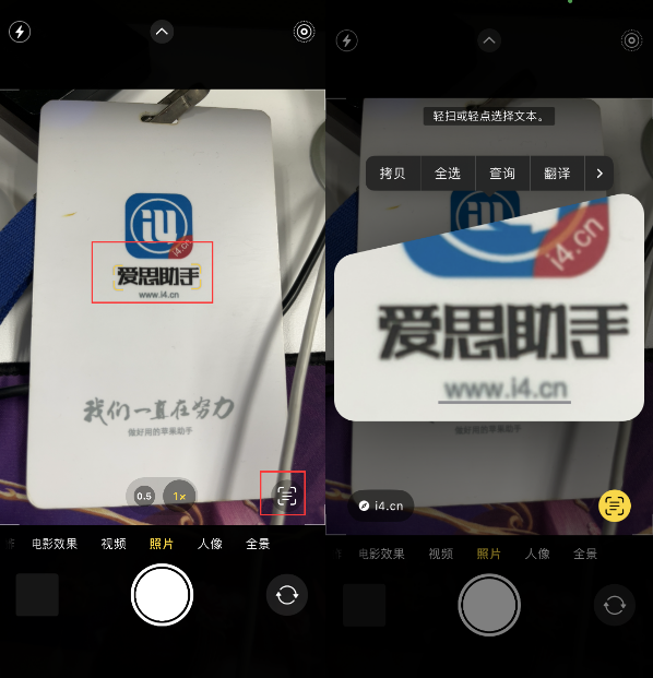 黑河苹果手机维修分享升级iOS 16后如何通过相机翻译文本 
