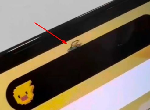 黑河苹果14维修分享iPhone 14 Pro Max灵动岛怎么养宠物 