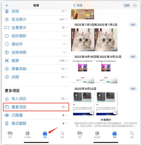 黑河苹果手机维修分享iOS 16 中相册重复项目功能使用方法 