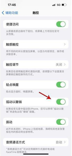 黑河苹果手机维修分享iPhone手机如何设置摇一摇删除文字 