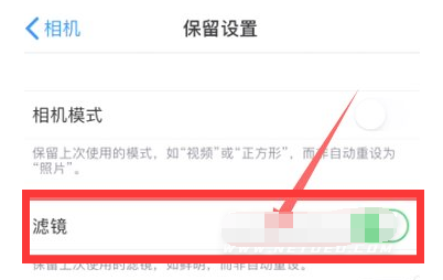 黑河苹果13维修分享iPhone13拍照有绿点是怎么回事 