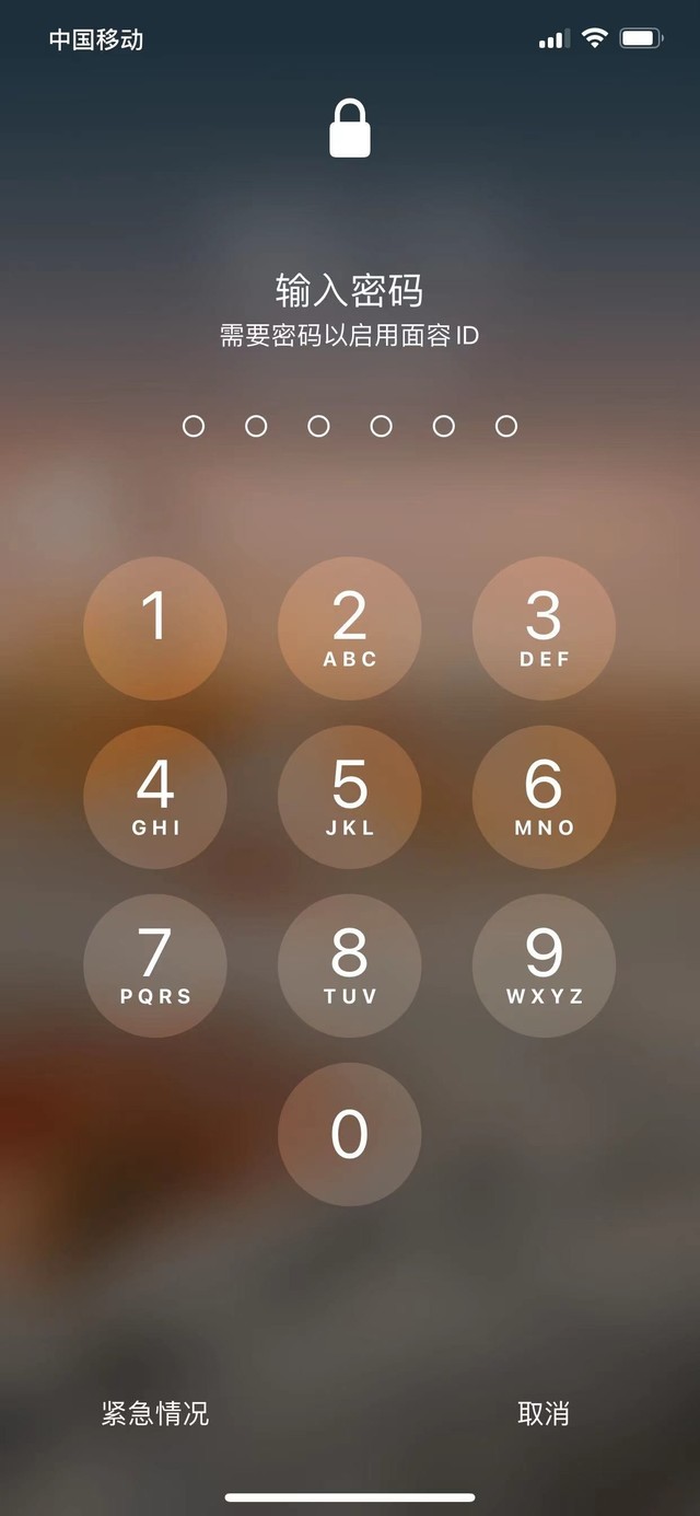 黑河苹果13维修分享iPhone 13加强锁屏功能有什么用 