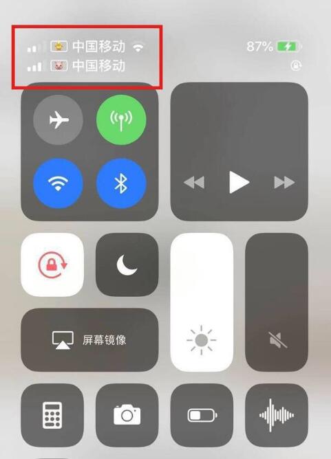 黑河苹果手机维修分享为 iPhone 12 双卡设置标签 