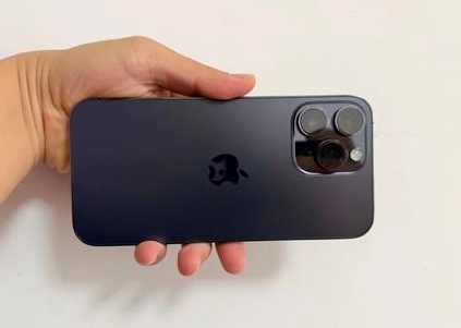 黑河苹果维修点分享iPhone 14 Pro Max黑屏少见故障盘点 