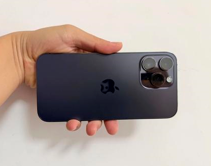 黑河苹果维修点分享iPhone 14 Pro Max发烫多重诱因剖析 